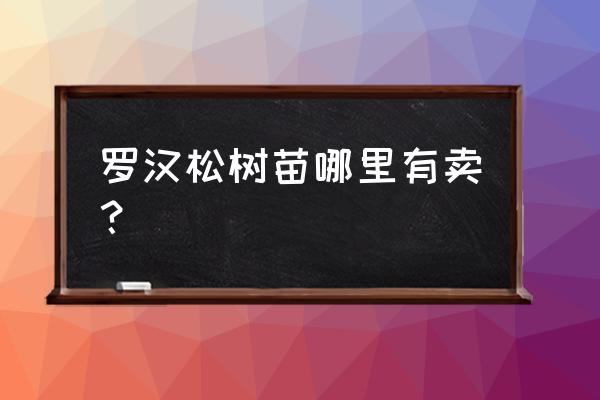 杳找桂林哪里有罗汉松木出售 罗汉松树苗哪里有卖？