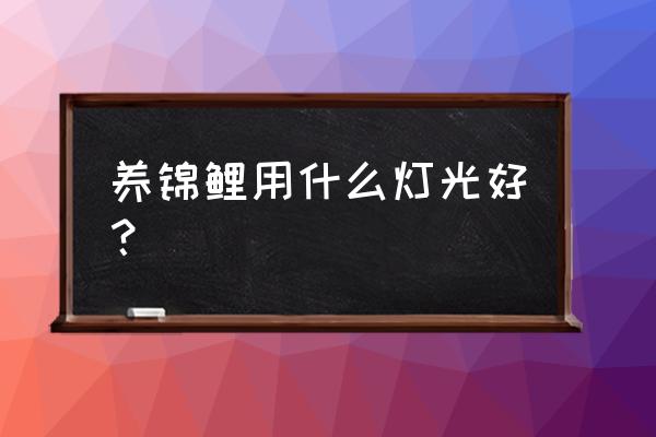 什么灯光对锦鲤有作用 养锦鲤用什么灯光好？