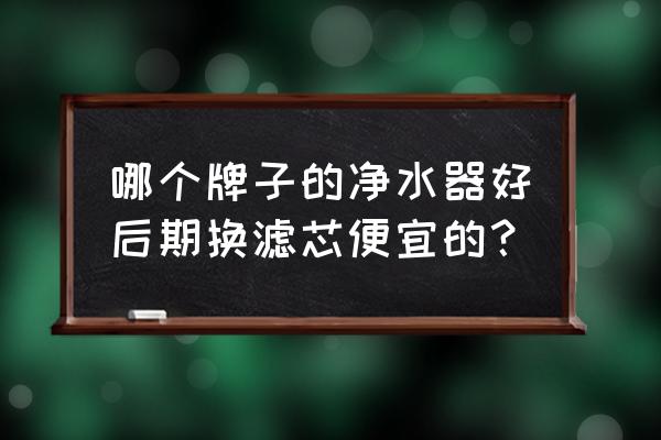 哪款纯水机滤芯便宜 哪个牌子的净水器好后期换滤芯便宜的？