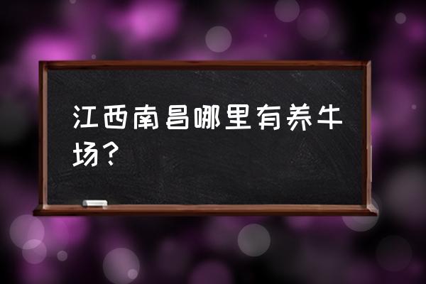 南昌活牛批发市场在哪 江西南昌哪里有养牛场？