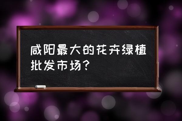 盆栽花卉批发商在哪里 咸阳最大的花卉绿植批发市场？