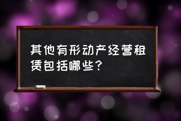 有形动产租赁服务业有哪些 其他有形动产经营租赁包括哪些？