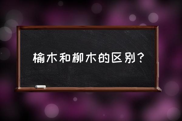 榆木密度多少 榆木和柳木的区别？