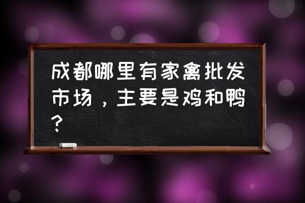 新开家禽批发市场在哪 成都哪里有家禽批发市场，主要是鸡和鸭？