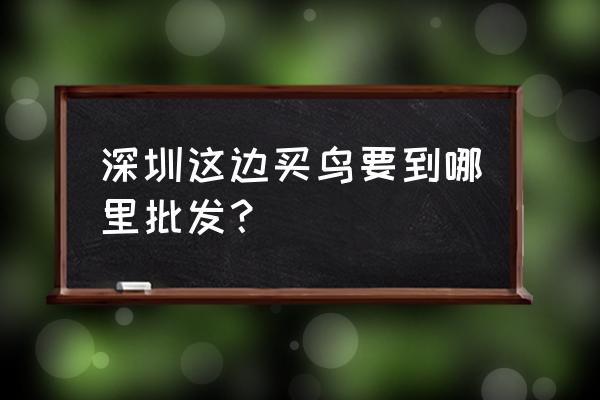 深圳龙岗三鸟批发市场在哪里 深圳这边买鸟要到哪里批发？