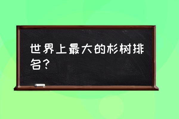 南方有什么杉木长得最大 世界上最大的杉树排名？