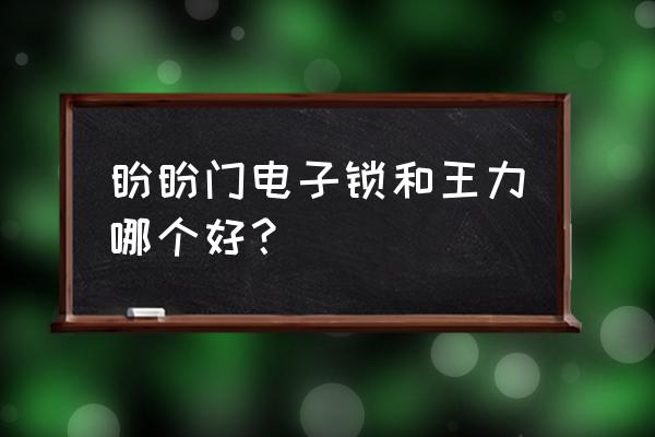 防盗门电子锁什么品牌好 盼盼门电子锁和王力哪个好？