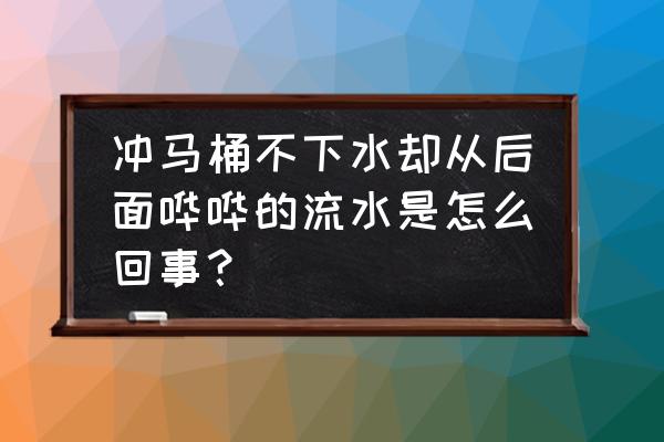 马桶从后面出水怎么办 冲马桶不下水却从后面哗哗的流水是怎么回事？