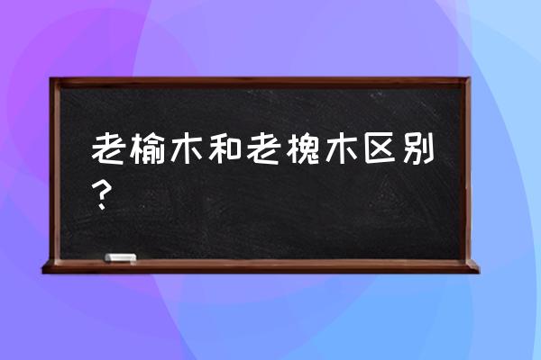 槐木是黄榆木吗 老榆木和老槐木区别？