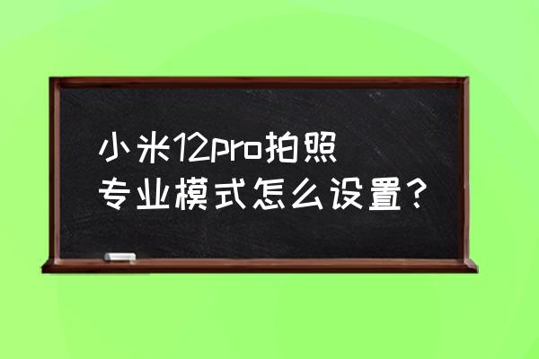 小米手机如何找专业相机 小米12pro拍照专业模式怎么设置？