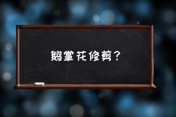 鸭掌木一般在什么时候剪枝 鹅掌花修剪？