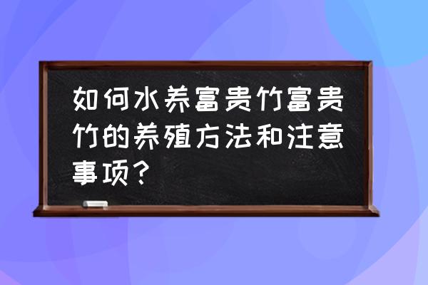 水培开运竹的养殖方法和注意事项 如何水养富贵竹富贵竹的养殖方法和注意事项？