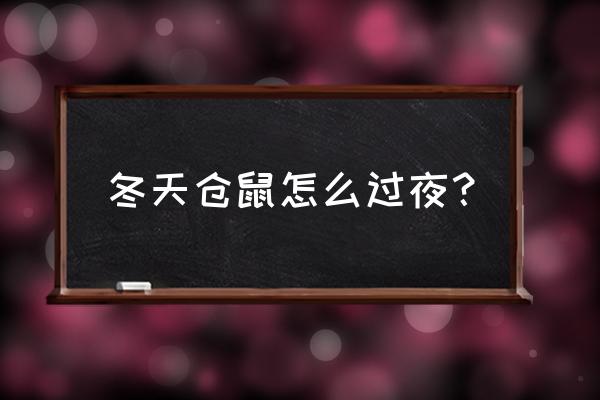 9个平方卧室怎么保暖 冬天仓鼠怎么过夜？