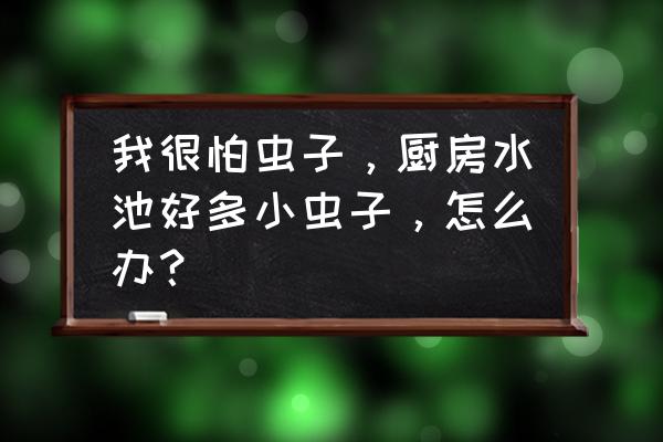 厨房水池边上有虫子怎么解决 我很怕虫子，厨房水池好多小虫子，怎么办？