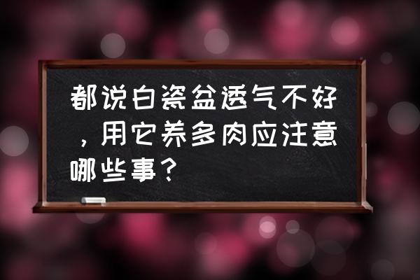 冬天打理多肉植物的小妙招 都说白瓷盆透气不好，用它养多肉应注意哪些事？