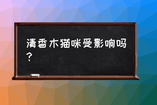 千叶吊兰叶子脱落了怎么补救 清香木猫咪受影响吗？