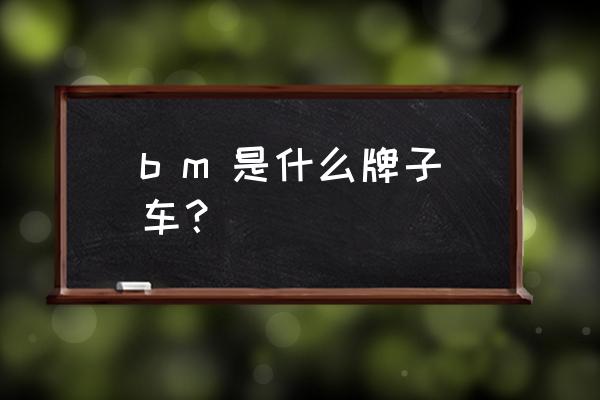 宝马车标上的w是什么意思 b m 是什么牌子车？