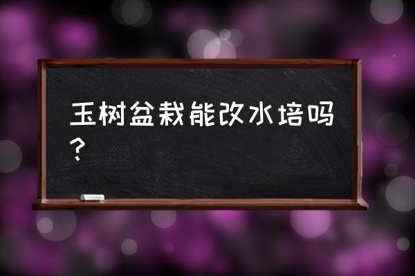 玻璃瓶子水培多肉 玉树盆栽能改水培吗？