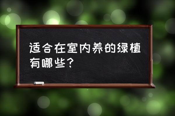 在迷你世界如何制作摇钱树 适合在室内养的绿植有哪些？