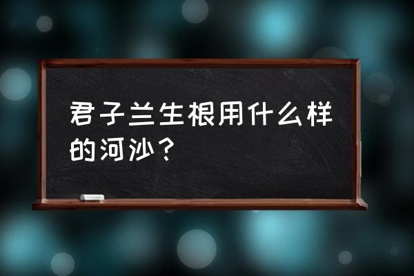 什么样的河沙养花最好呢 君子兰生根用什么样的河沙？