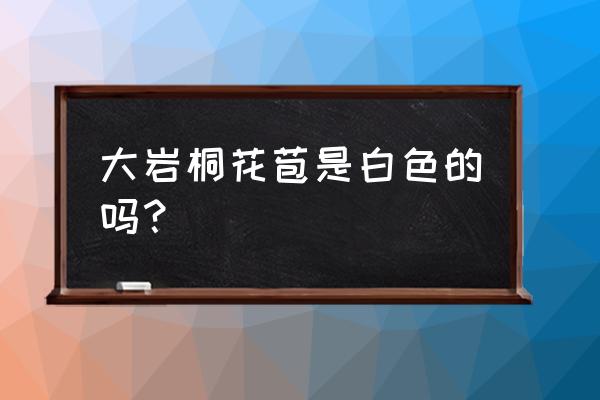 大岩桐花的扦插如何快速发芽 大岩桐花苞是白色的吗？