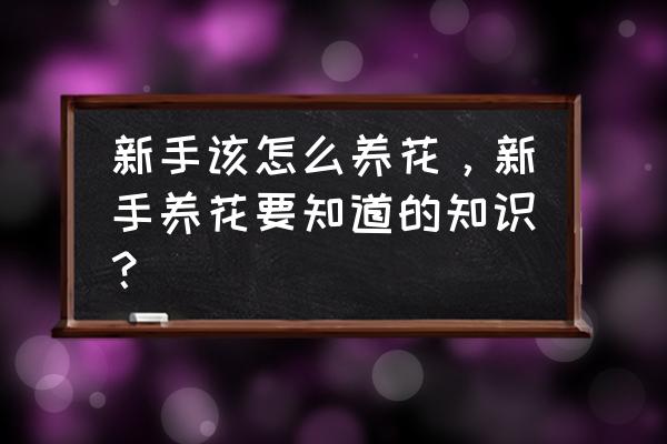 新手买花的正确方法 新手该怎么养花，新手养花要知道的知识？