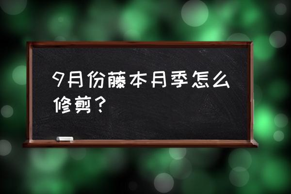 藤本月季底部枝条需要剪了吗 9月份藤本月季怎么修剪？