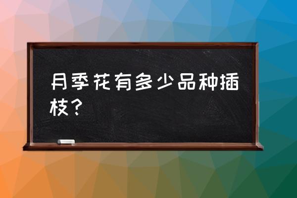 丰花月季种子怎么收集 月季花有多少品种插枝？