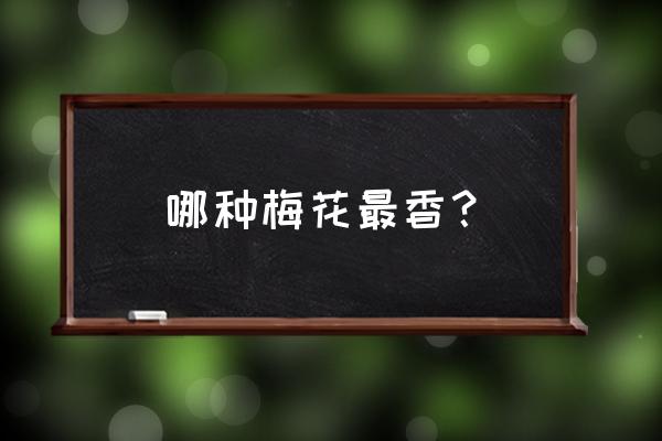 腊梅什么品种最好 哪种梅花最香？