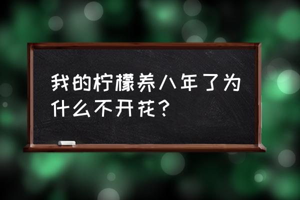 柠檬怎么养能长得快一点啊 我的柠檬养八年了为什么不开花？