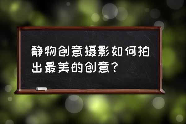 最简单的散景拍摄方法 静物创意摄影如何拍出最美的创意？