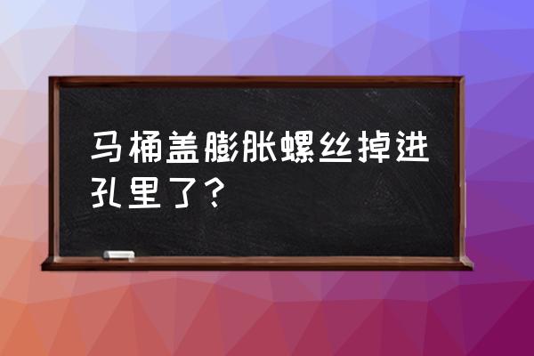 马桶盖下面螺丝掉了怎么修 马桶盖膨胀螺丝掉进孔里了？