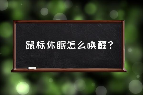 点击睡眠后如何唤醒 鼠标休眠怎么唤醒？