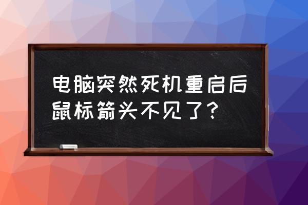 笔记本鼠标箭头不见了怎么恢复 电脑突然死机重启后鼠标箭头不见了？