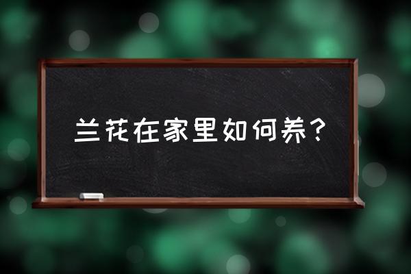 在家怎么把兰花培养得更好 兰花在家里如何养？