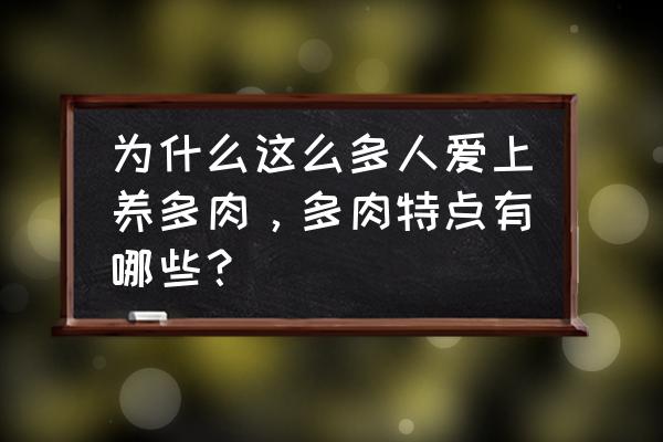 新手如何养多肉 为什么这么多人爱上养多肉，多肉特点有哪些？