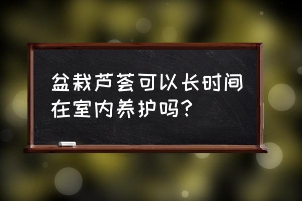 盆栽花怎么养能长久一点 盆栽芦荟可以长时间在室内养护吗？