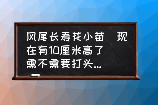 长寿花怎么修剪才长侧枝 风尾长寿花小苗（现在有10厘米高了）需不需要打头？什么时候打？谢谢？