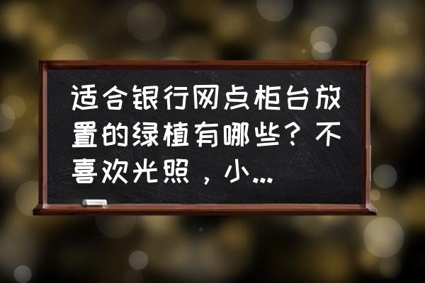 适合放到办公室里的花 适合银行网点柜台放置的绿植有哪些？不喜欢光照，小型绿植最好？