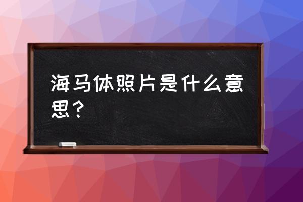 海马体微信公众号 海马体照片是什么意思？