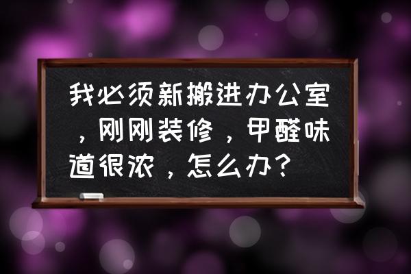 办公室除甲醛怎样才能快速消除 我必须新搬进办公室，刚刚装修，甲醛味道很浓，怎么办？