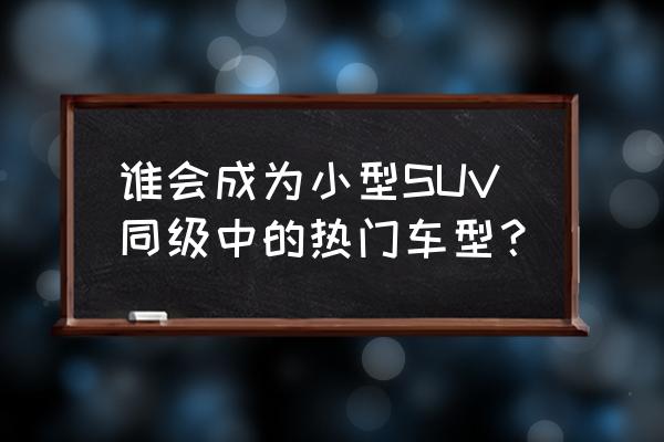 途铠定速巡航详细使用方法 谁会成为小型SUV同级中的热门车型？