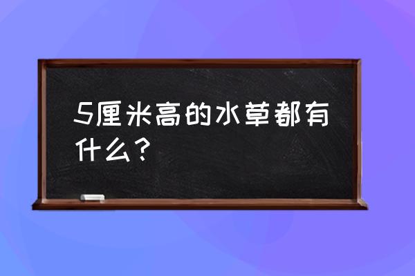 鹿角榕在水里能活多久 5厘米高的水草都有什么？