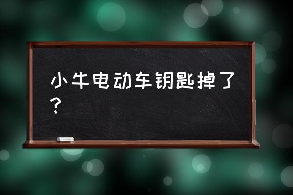 小牛电动车钥匙丢了怎么补救 小牛电动车钥匙掉了？