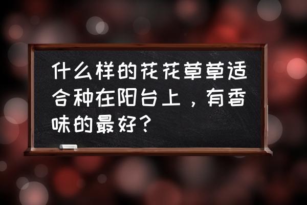 适合阳台种的花卉大全图 什么样的花花草草适合种在阳台上，有香味的最好？