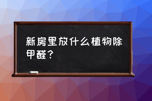 10种能吸收甲醛的盆栽 新房里放什么植物除甲醛？