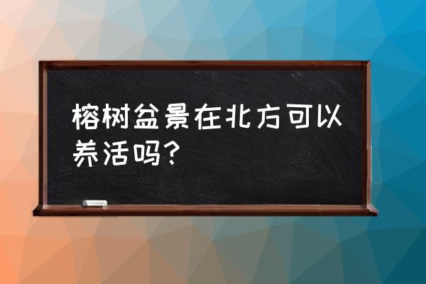 榕树盆栽需要多少温度养护 榕树盆景在北方可以养活吗？