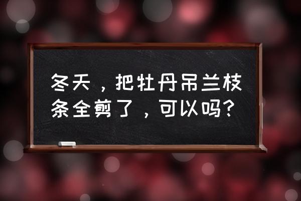 穿心莲家庭如何扦插 冬天，把牡丹吊兰枝条全剪了，可以吗？