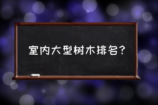 客厅什么大型绿植最好养 室内大型树木排名？