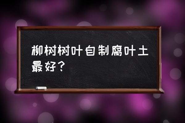 柳树枝可以做什么儿童手工 柳树树叶自制腐叶土最好？